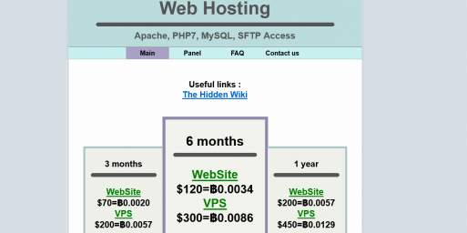 Web Hosting